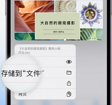 乌当apple维修中心分享iPhone文件应用中存储和找到下载文件