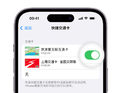 乌当apple维修点分享iPhone上更换Apple Pay快捷交通卡手绘卡面 