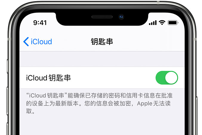 乌当苹果手机维修分享在 iPhone 上开启 iCloud 钥匙串之后会储存哪些信息 