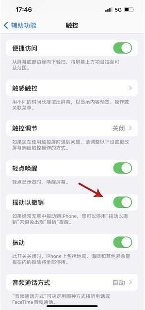 乌当苹果手机维修分享iPhone手机如何设置摇一摇删除文字 